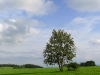 p1010246